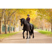 LeMieux Schabracke Essence Dressur Schwarz LeMieux Schabracke Essence Dressur Schwarz