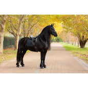 LeMieux Schabracke Essence Dressur Schwarz LeMieux Schabracke Essence Dressur Schwarz