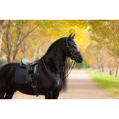 LeMieux Schabracke Essence Dressur Schwarz LeMieux Schabracke Essence Dressur Schwarz