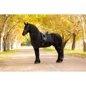 LeMieux Schabracke Essence Dressur Schwarz LeMieux Schabracke Essence Dressur Schwarz