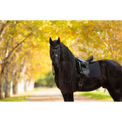 LeMieux Schabracke Essence Dressur Schwarz LeMieux Schabracke Essence Dressur Schwarz