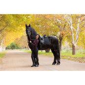 LeMieux Schabracke Essence Dressur Schwarz LeMieux Schabracke Essence Dressur Schwarz