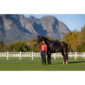 LeMieux Schabracke Loire Classic Dressur Navy/Cranberry LeMieux Schabracke Loire Classic Dressur Navy/Cranberry