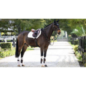 LeMieux Schabracke Prosorb Plain 2 Pocket CC Weiß LeMieux Schabracke Prosorb Plain 2 Pocket CC Weiß