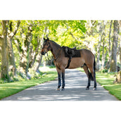 LeMieux Schabracke Pillow Pad Schwarz LeMieux Schabracke Pillow Pad Schwarz