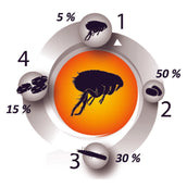 Pestigon Flohmittel Spot-On Hund Pestigon Flohmittel Spot-On Hund