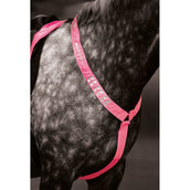 Shires Fliegenhaube Reflektierend Fluor Roze Shires Fliegenhaube Reflektierend Fluor Roze