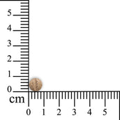 Sensipharm Inconti Stop - Kleine Haustiere Sensipharm Inconti Stop - Kleine Haustiere