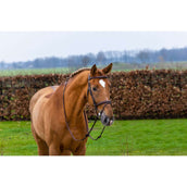 Trust Zaum Knokke Braun/Silber Trust Zaum Knokke Braun/Silber