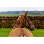 Trust Zaum Knokke Braun/Silber Trust Zaum Knokke Braun/Silber