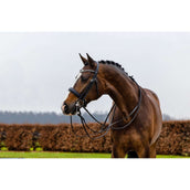 Trust Kandarenzaum Wellington Schwarz/Silber Trust Kandarenzaum Wellington Schwarz/Silber