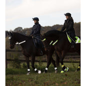 Waldhausen Trensenzaum Set Reflex 3 Teilig Neon Gelb Waldhausen Trensenzaum Set Reflex 3 Teilig Neon Gelb