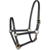 Star Show-Halfter Fohlen Schwarz Star Show-Halfter Fohlen Schwarz