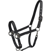 Waldhausen Halfter Gloomy Schwarz Waldhausen Halfter Gloomy Schwarz