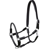 Waldhausen Halfter Nevada Schwarz/Silber Waldhausen Halfter Nevada Schwarz/Silber