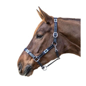 Waldhausen Halfter Polo Leder Schwarz/Blau Waldhausen Halfter Polo Leder Schwarz/Blau