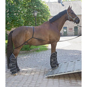 Waldhausen Hängerleine für Verladen Waldhausen Hängerleine für Verladen