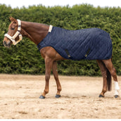 Waldhausen Führanlagendecke Exclusive Nightblue Waldhausen Führanlagendecke Exclusive Nightblue