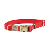 WeatherBeeta Dog Collar Elegance Rot WeatherBeeta Dog Collar Elegance Rot