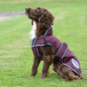 WeatherBeeta Hundejacke ComFiTec Premier Free Parka Deluxe Medium 1200D 220g Maroon/Grau/Weiß WeatherBeeta Hundejacke ComFiTec Premier Free Parka Deluxe Medium 1200D 220g Maroon/Grau/Weiß