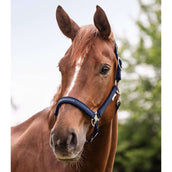 Waldhausen Halfter Athletic Nightblue Waldhausen Halfter Athletic Nightblue