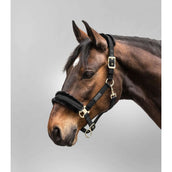 Waldhausen Halfter Exclusive Schwarz/Schwarz Waldhausen Halfter Exclusive Schwarz/Schwarz