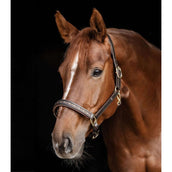 Waldhausen Halfter Crystal Leder braun/gold Waldhausen Halfter Crystal Leder braun/gold