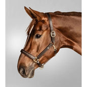 Waldhausen Halfter Crystal Leder braun/gold Waldhausen Halfter Crystal Leder braun/gold