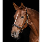 Waldhausen Halfter S-Line Classy Leder Braun Waldhausen Halfter S-Line Classy Leder Braun