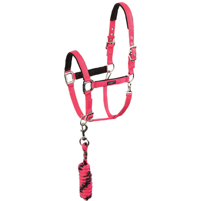 ANKY Halfterset ATH261001 Innuendo ANKY Halfterset ATH261001 Innuendo