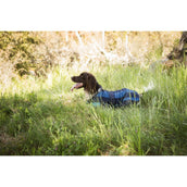 Cool on Track Hundejacke 2.0 Blau Cool on Track Hundejacke 2.0 Blau
