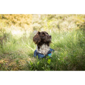 Cool on Track Hundejacke 2.0 Blau Cool on Track Hundejacke 2.0 Blau