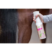 Bense & Eicke Natural Finish Bense & Eicke Natural Finish