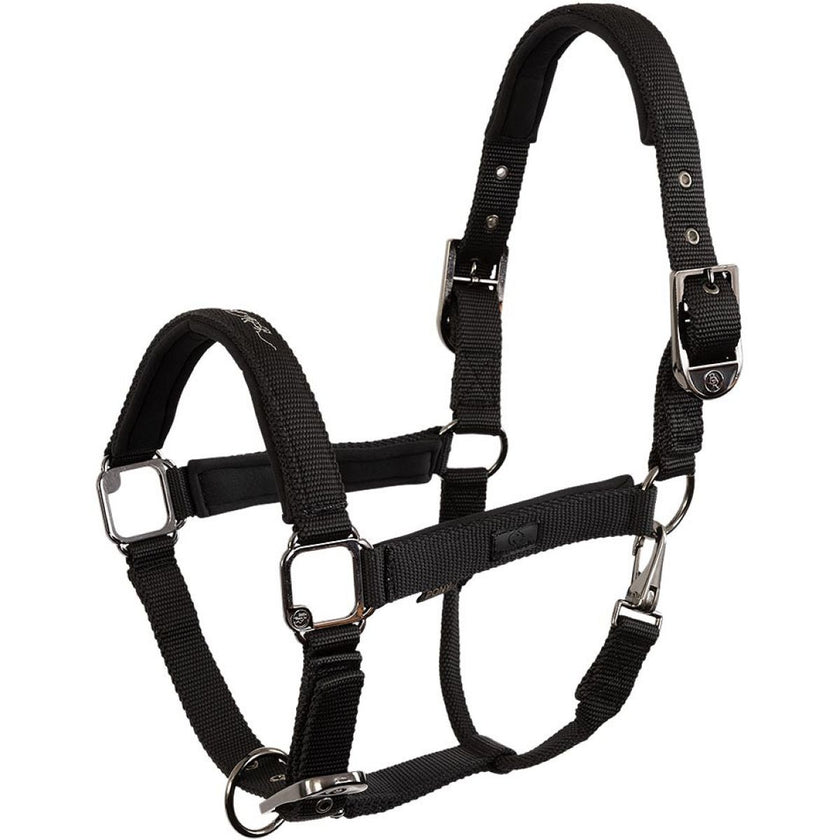 BR Halfter AW25 Eevolv Josh Meteorite BR Halfter AW25 Eevolv Josh Meteorite