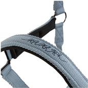 BR Halfter AW25 Eevolv Josh Ashley Blue BR Halfter AW25 Eevolv Josh Ashley Blue