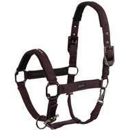 BR Halfter AW25 Eevolv Josh Raisin BR Halfter AW25 Eevolv Josh Raisin