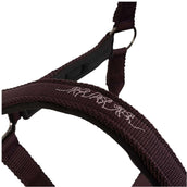 BR Halfter AW25 Eevolv Josh Raisin BR Halfter AW25 Eevolv Josh Raisin