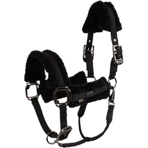 BR Halfter AW25 Eevolv Jonne Meteorite BR Halfter AW25 Eevolv Jonne Meteorite