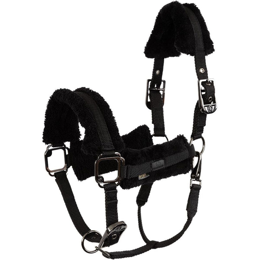 BR Halfter AW25 Eevolv Jonne Meteorite BR Halfter AW25 Eevolv Jonne Meteorite