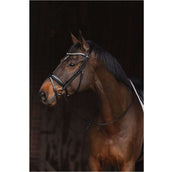 ANKY Zaum Metallic Patent ATH24001 Schwarz ANKY Zaum Metallic Patent ATH24001 Schwarz