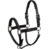 ANKY Halfter Victory ATH25001 Schwarz ANKY Halfter Victory ATH25001 Schwarz