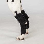 Back on Track Stoßdämpferschutz Dixie Hund Schwarz Back on Track Stoßdämpferschutz Dixie Hund Schwarz