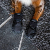 Back on Track Hundeschuhe Koda Schwarz Back on Track Hundeschuhe Koda Schwarz