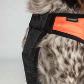 Back on Track Hundejacke TRAKK Reflektierend Orange Back on Track Hundejacke TRAKK Reflektierend Orange