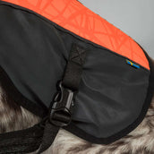 Back on Track Hundejacke TRAKK Reflektierend Orange Back on Track Hundejacke TRAKK Reflektierend Orange