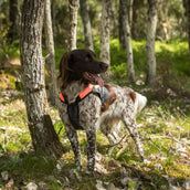 Back on Track Hundejacke TRAKK Reflektierend Orange Back on Track Hundejacke TRAKK Reflektierend Orange