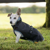 Bucas Anniversary Dog Rug Sapphire Bucas Anniversary Dog Rug Sapphire
