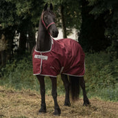 Bucas Atlantic Light Exclusive Wine Bucas Atlantic Light Exclusive Wine