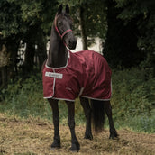 Bucas Atlantic Medium Exclusive Wine Bucas Atlantic Medium Exclusive Wine