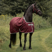 Bucas Atlantic Medium Exclusive Wine Bucas Atlantic Medium Exclusive Wine